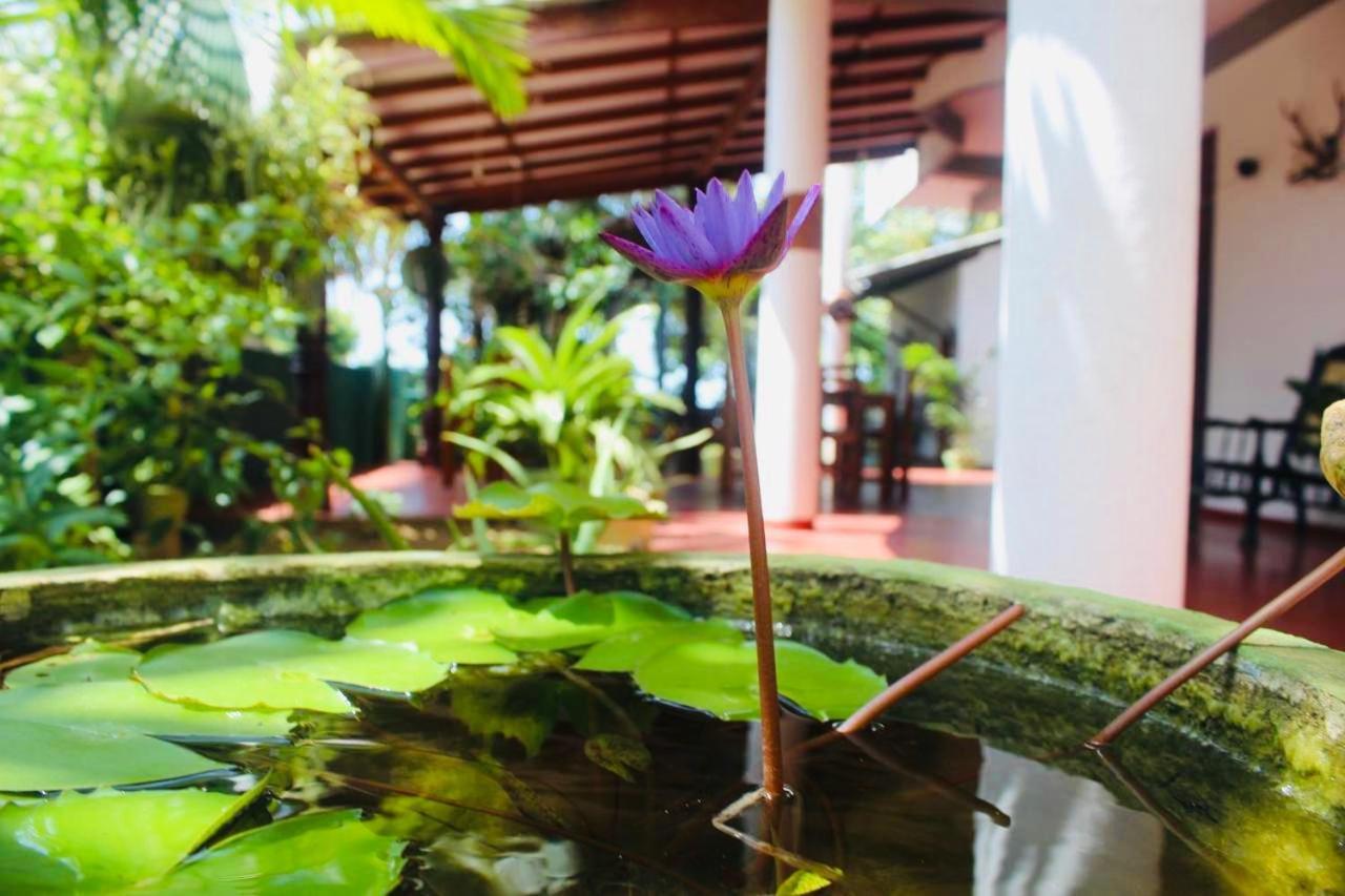 Sunrise Guest House & Restaurant 탕갈레 외부 사진