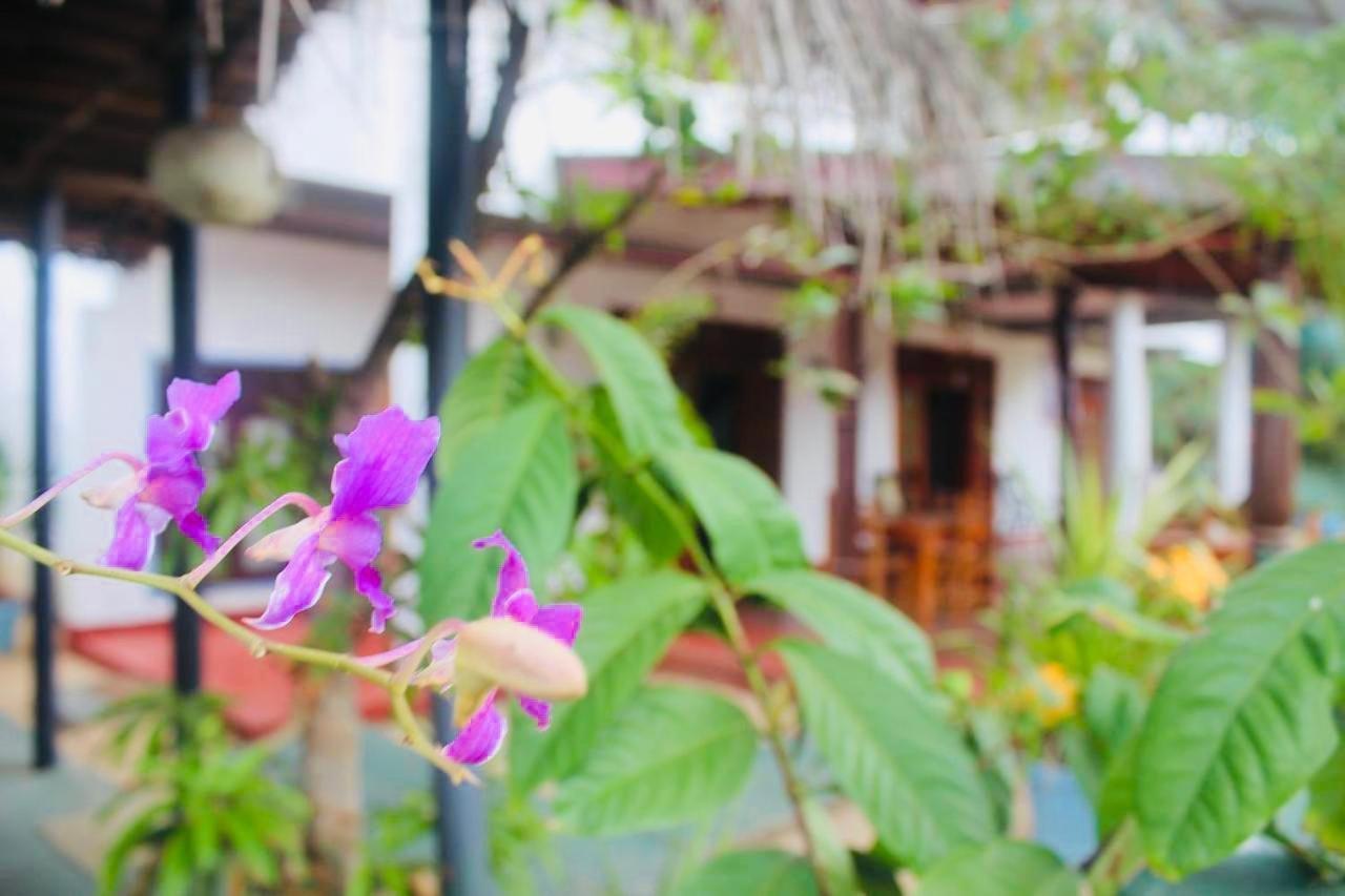 Sunrise Guest House & Restaurant 탕갈레 외부 사진